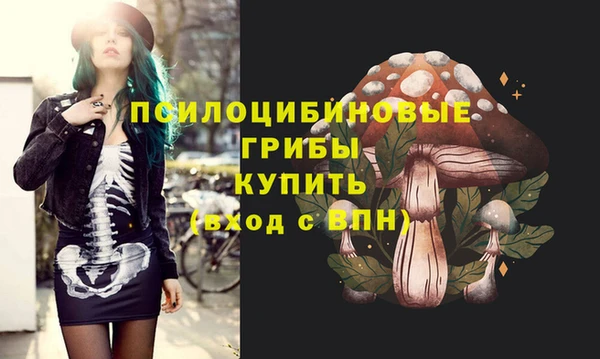 spice Балахна