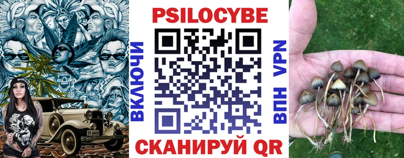 где купить наркоту Пойковский Псилоцибиновые грибы Psilocybine cubensis
